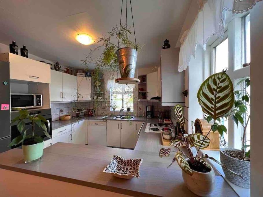 Nylenda Apartment Seyðisfjörður Екстериор снимка