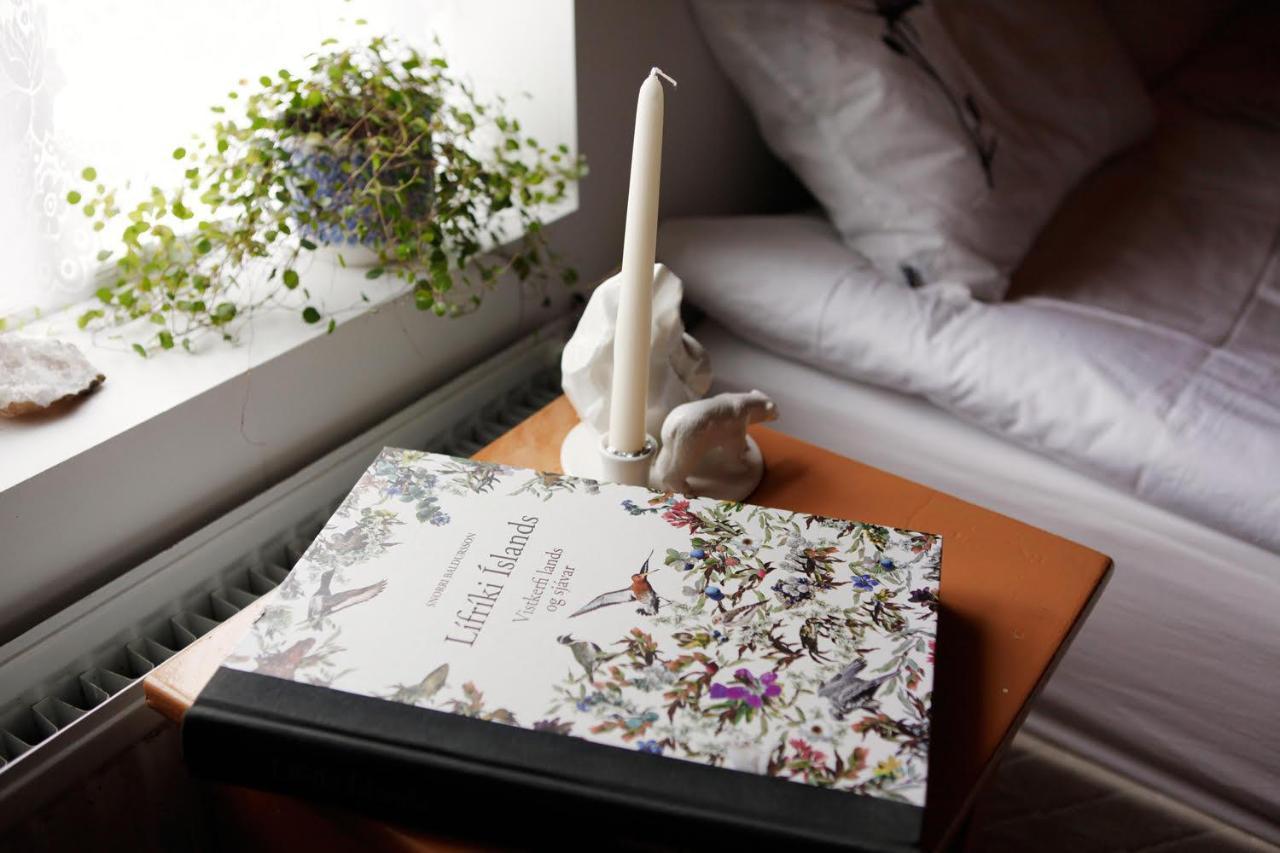 Nylenda Apartment Seyðisfjörður Екстериор снимка
